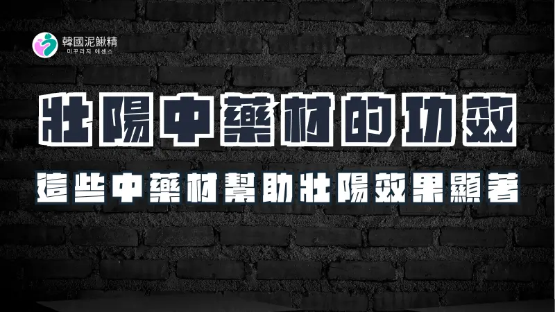 壯陽中藥材全解析，了解它們如何助你雄風再起！